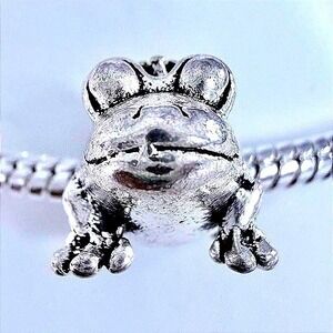 Silver Tone Frog Animal Bead Charm Fits Snake Chain‎ Bracelets